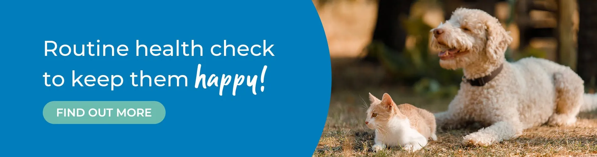 Parkhill Vets in Wetherby, West Yorkshire