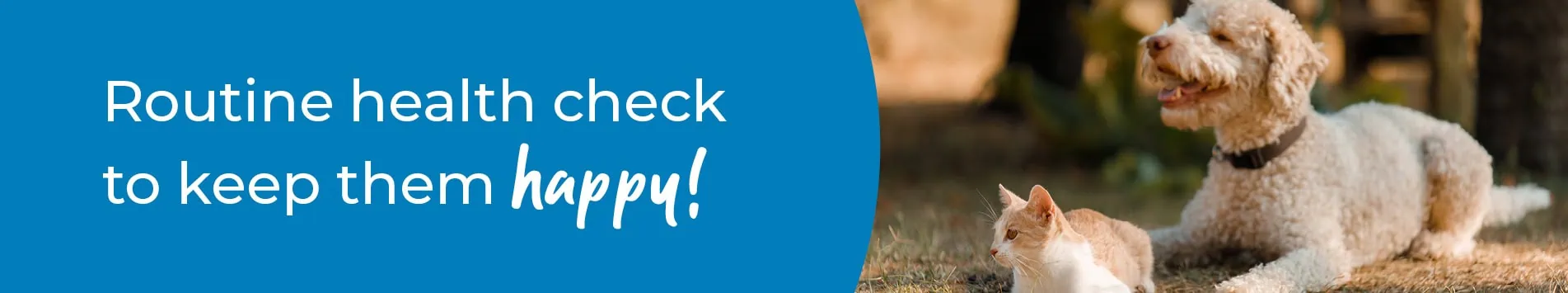 Pet Health Check in Wetherby | Preventative Vet Care
