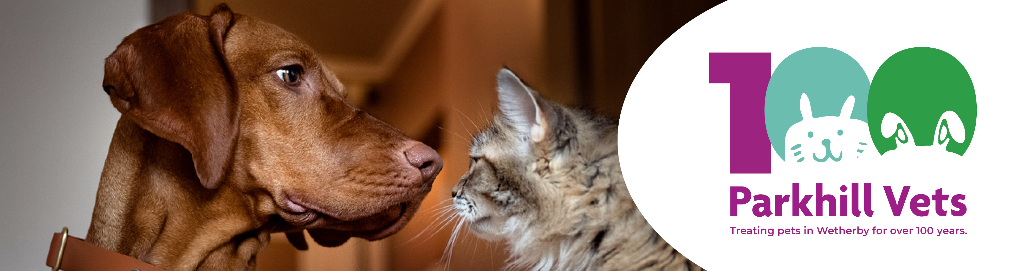 Parkhill Vets in Wetherby, West Yorkshire