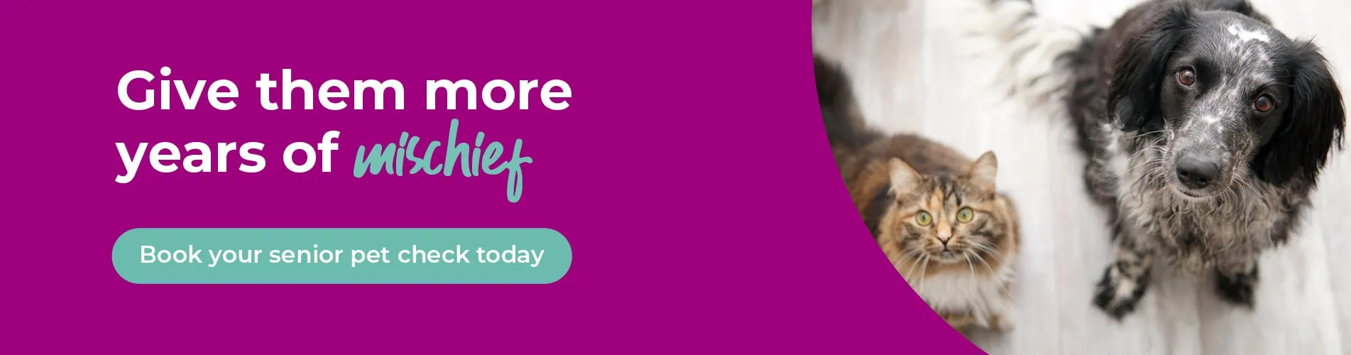 Parkhill Vets in Wetherby, West Yorkshire