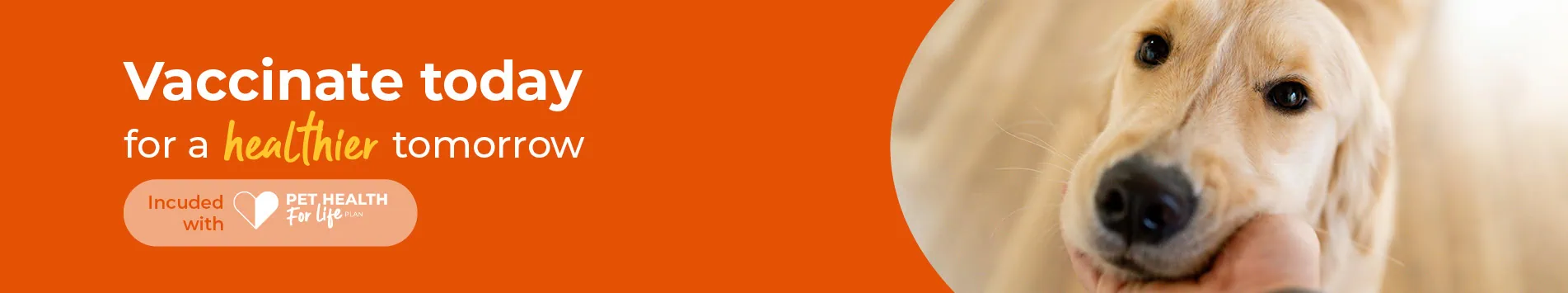 Pet Vaccinations at Parkhill Vets