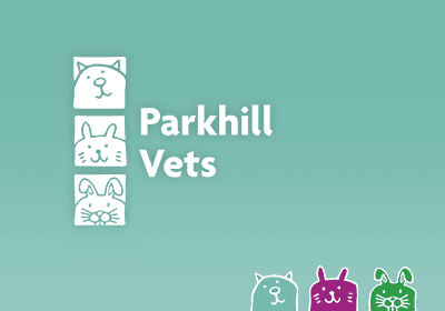 The importance of pet insurance